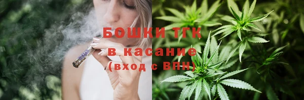 индика Семёнов