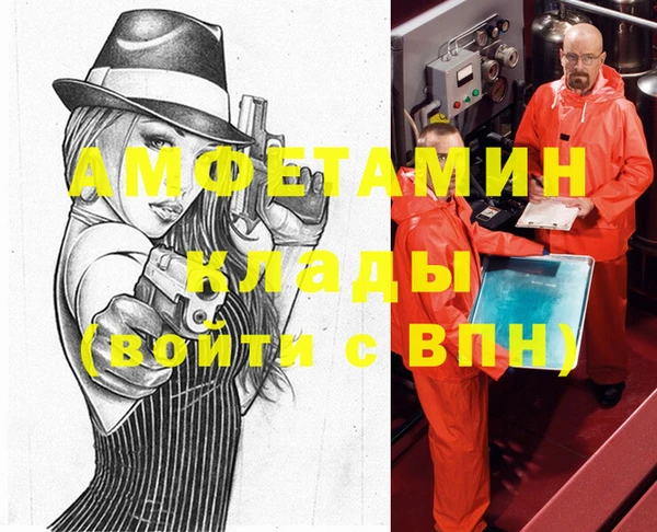 индика Семёнов