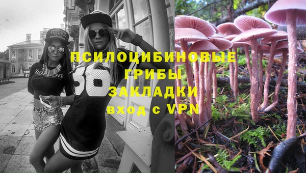 МДПВ Бронницы