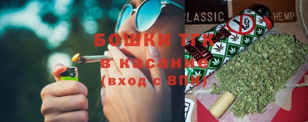 индика Семёнов
