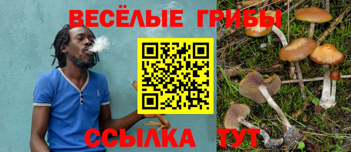 Галлюциногенные грибы мухоморы Урай