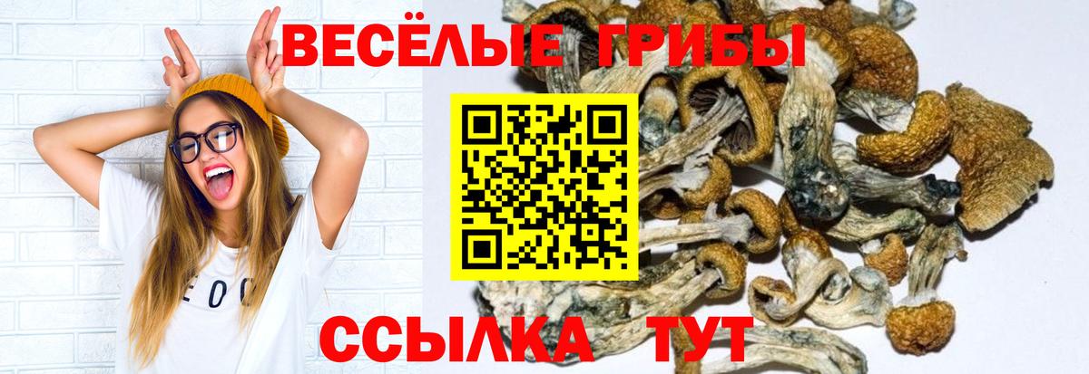 Урай  Псилоцибиновые грибы ЛСД  Псилоцибиновые грибы Psilocybine cubensis  Вход с VPN 
