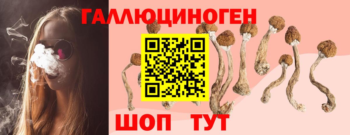 Псилоцибиновые грибы Psilocybe  Урай  Псилоцибиновые грибы мухоморы 